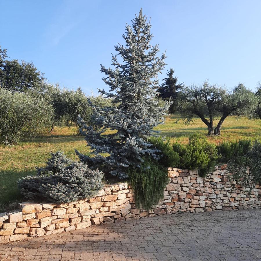 Segnavento -Rooms And Suites- Manta Kültér fotó